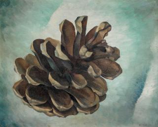 Reuben Mednikoff - Pinecone