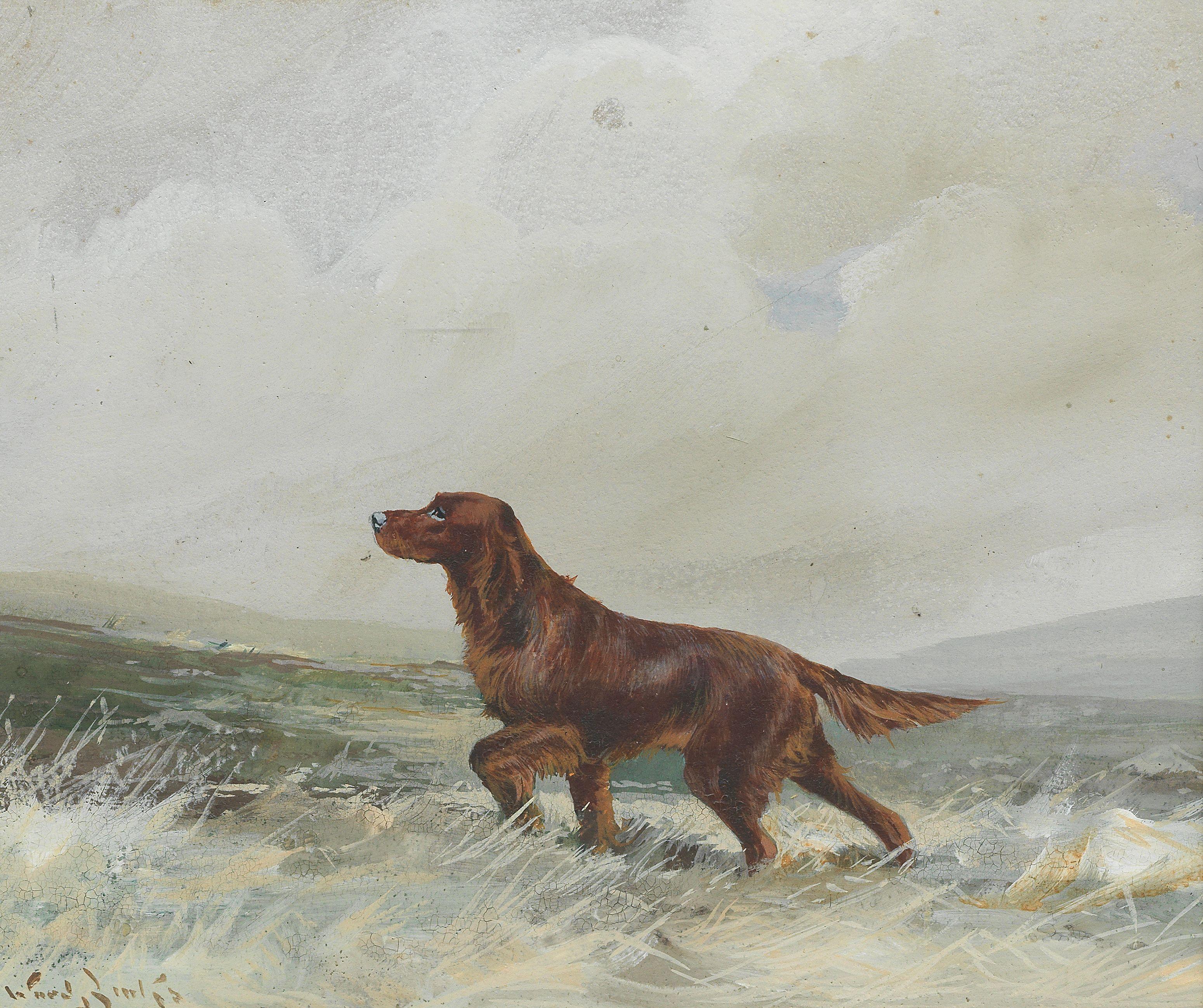 Reuben Ward Binks - A Red Setter