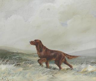 Reuben Ward Binks - A Red Setter