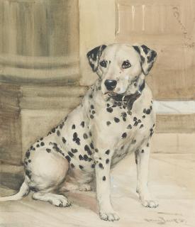 Reuben Ward Binks - \'Bumble\' - A Dalmatian