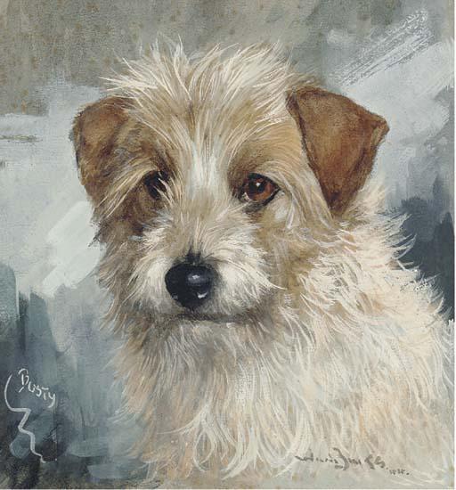 Reuben Ward Binks - Busty, the head of a wire haired terrier