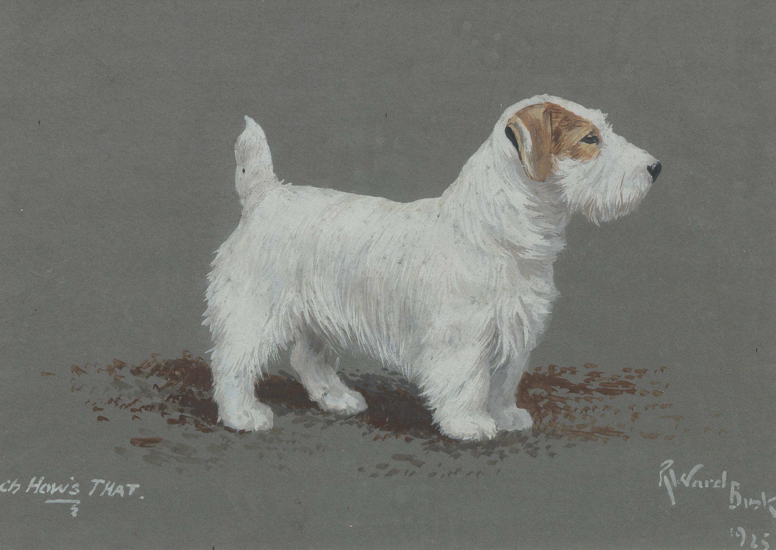 Reuben Ward Binks - Ch. \'How\'s That\' - A Sealyham Terrier