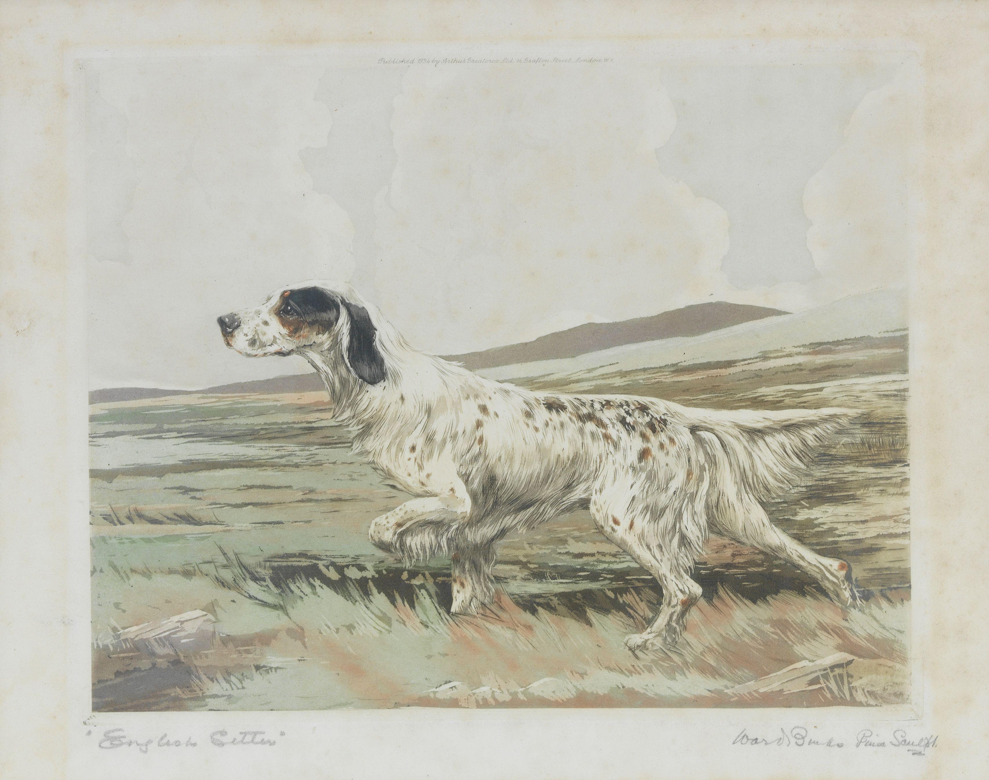 Reuben Ward Binks - \'English Setter\'