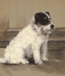 Reuben Ward Binks - Fuss, a Terrier
