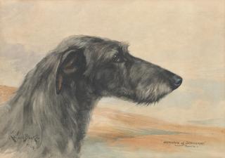 Reuben Ward Binks - \'Glenlogie of Springfort\' - Portrait of a Deerhound