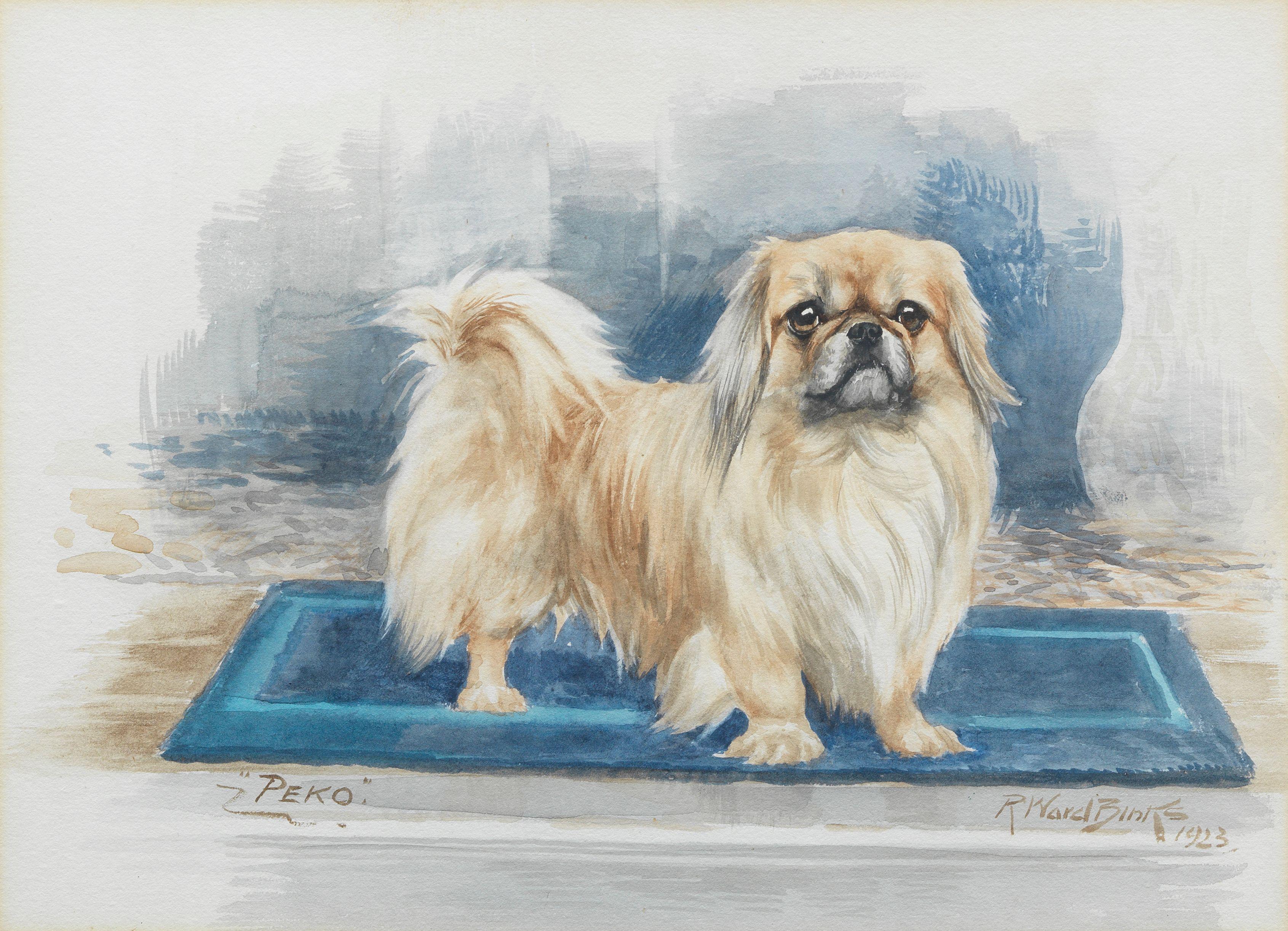 Reuben Ward Binks - \'Peko\' - A Pekingese