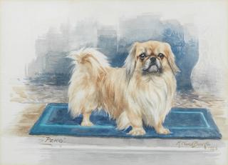 Reuben Ward Binks - \'Peko\' - A Pekingese