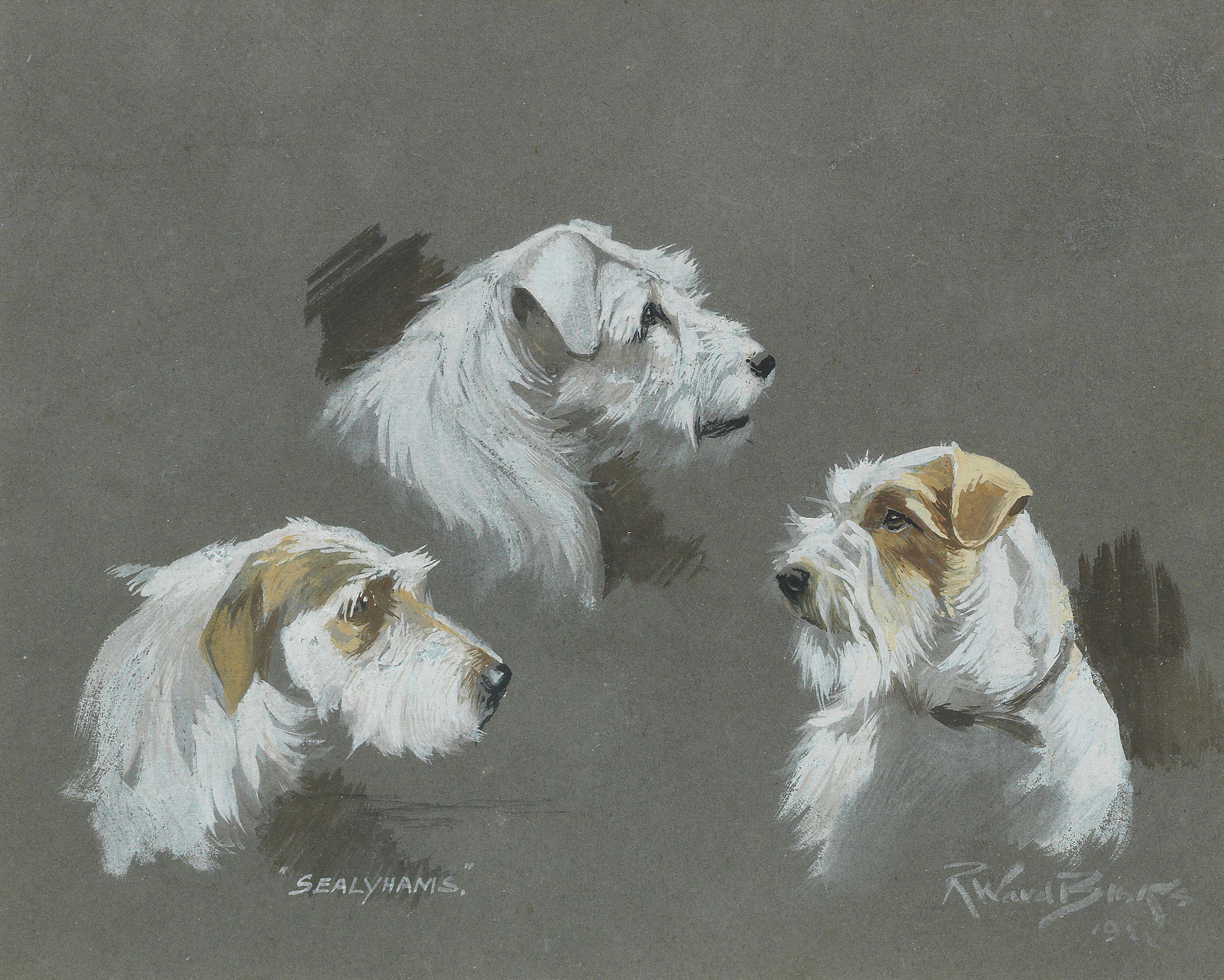 Reuben Ward Binks - Sealyhams