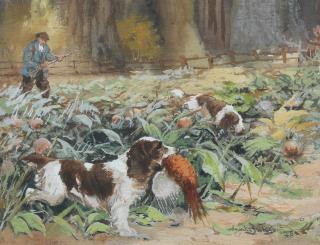 Reuben Ward Binks - Springer Spaniels at work