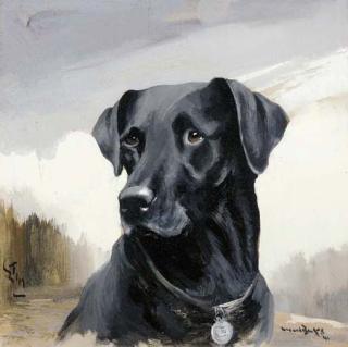 Reuben Ward Binks - Tim, a black labrador