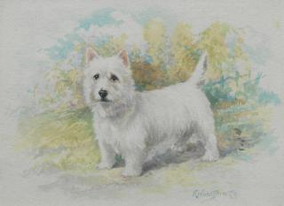 Reuben Ward Binks - West Highland Terrier