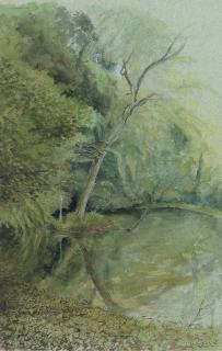 Reynolds Stone - Study of A Weeping Willow