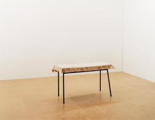 Ricarda Roggan - Tisch mit schwarzen Beinen.