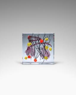 Riccardo Licata - Astratto Aquarium Block