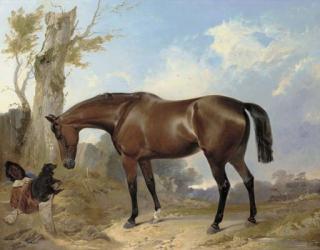 Richard Ansdell, R.A. - A bay hunter and dog in a landscape