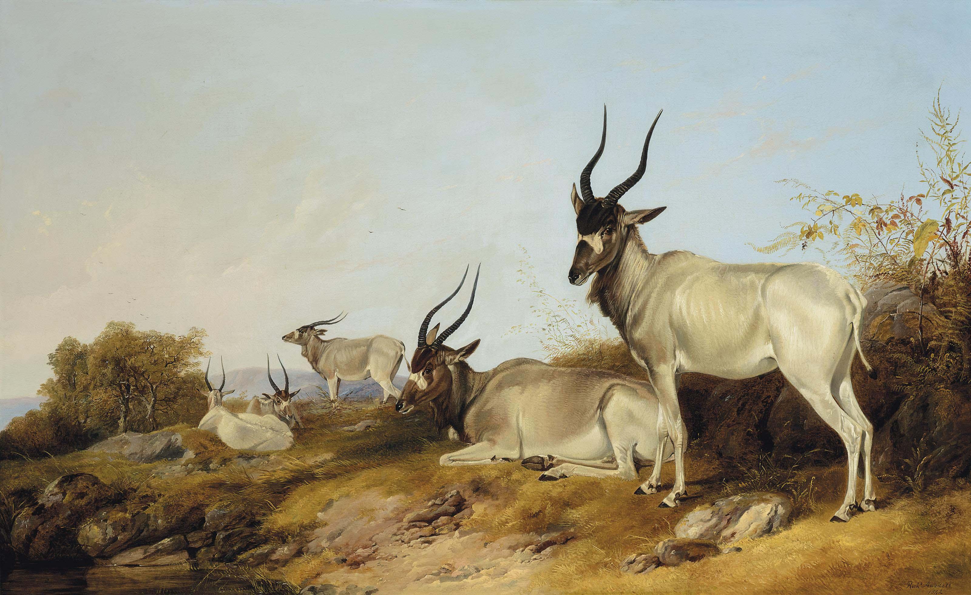 Richard Ansdell, R.A. - Addaxes in an extensive landscape