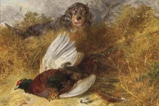 Richard Ansdell, R.A. - Gordon setter and pheasant