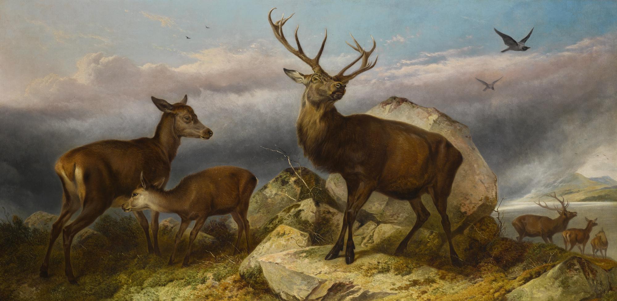 Richard Ansdell, R.A. - Home Of The Red Deer