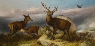 Richard Ansdell, R.A. - Home Of The Red Deer