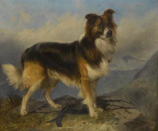 Richard Ansdell, R.A. - Sammie