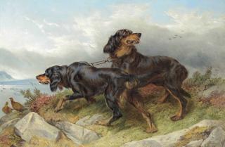 Richard Ansdell, R.A. - Setters