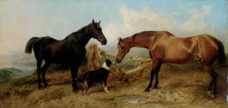 Richard Ansdell, R.A. - The Artist\'s Pets