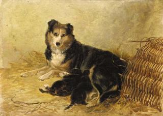 Richard Ansdell - A collie and puppies