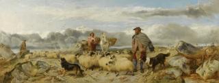 Richard Ansdell - Gathering The Flock