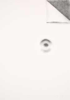 Richard Artschwager - Blattecke.