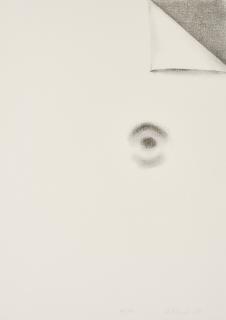 Richard Artschwager - Blattecke.