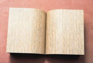 Richard Artschwager - Book (Alexander 10)