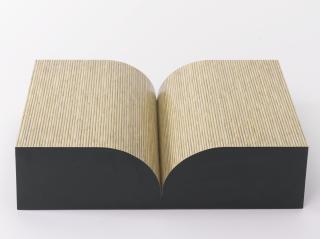 Richard Artschwager - Book