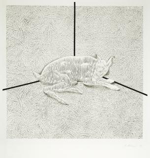 Richard Artschwager - Dog (Intersect); Building Riddled with Listening Devices (Beta) (2 works)
