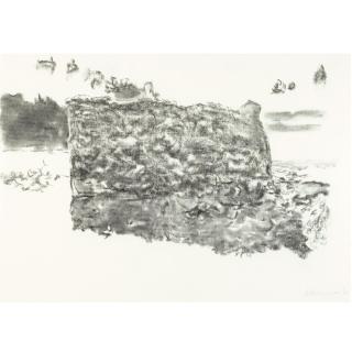 Richard Artschwager - Untitled