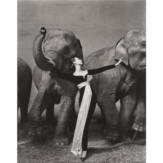 Richard Avedon - \'Dovima With Elephants, Evening Dress By Dior, Cirque D\'Hiver, Paris\', 1955