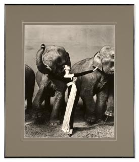 Richard Avedon - \'Dovima with elephants,  Evening dress by Dior, Cirque d\'Hiver, Paris, August 1955\'