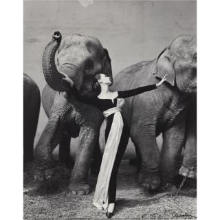 Richard Avedon - Dovima With Elephants, Evening Dress By Dior, Cirque D\'Hiver, Paris