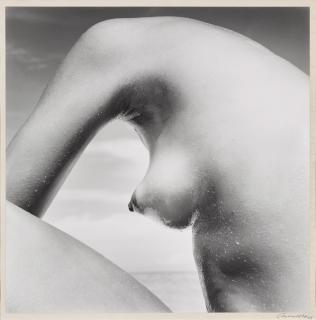 Richard Avedon - Lauren Hutton, Great Exuma