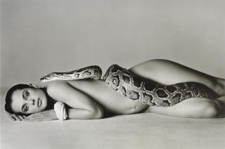 Richard Avedon - Nastassja Kinski and the Serpent, 14 June 1981