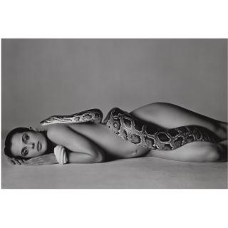 Richard Avedon - Nastassja Kinski And The Serpent, Los Angeles, California, 1981