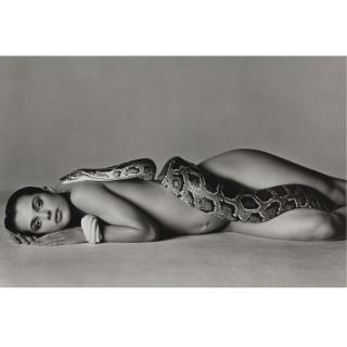 Richard Avedon - \'Nastassja Kinski And The Serpent, Los Angeles, California\'