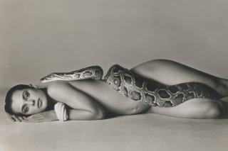 Richard Avedon - Nastassja Kinski And The Serpent, Los Angeles, California