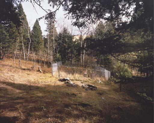 Richard Barnes - Unabomber Cabin (Sacramento, Ca), 1998; And Unabomber Site (Lincoln, Mn), 1998