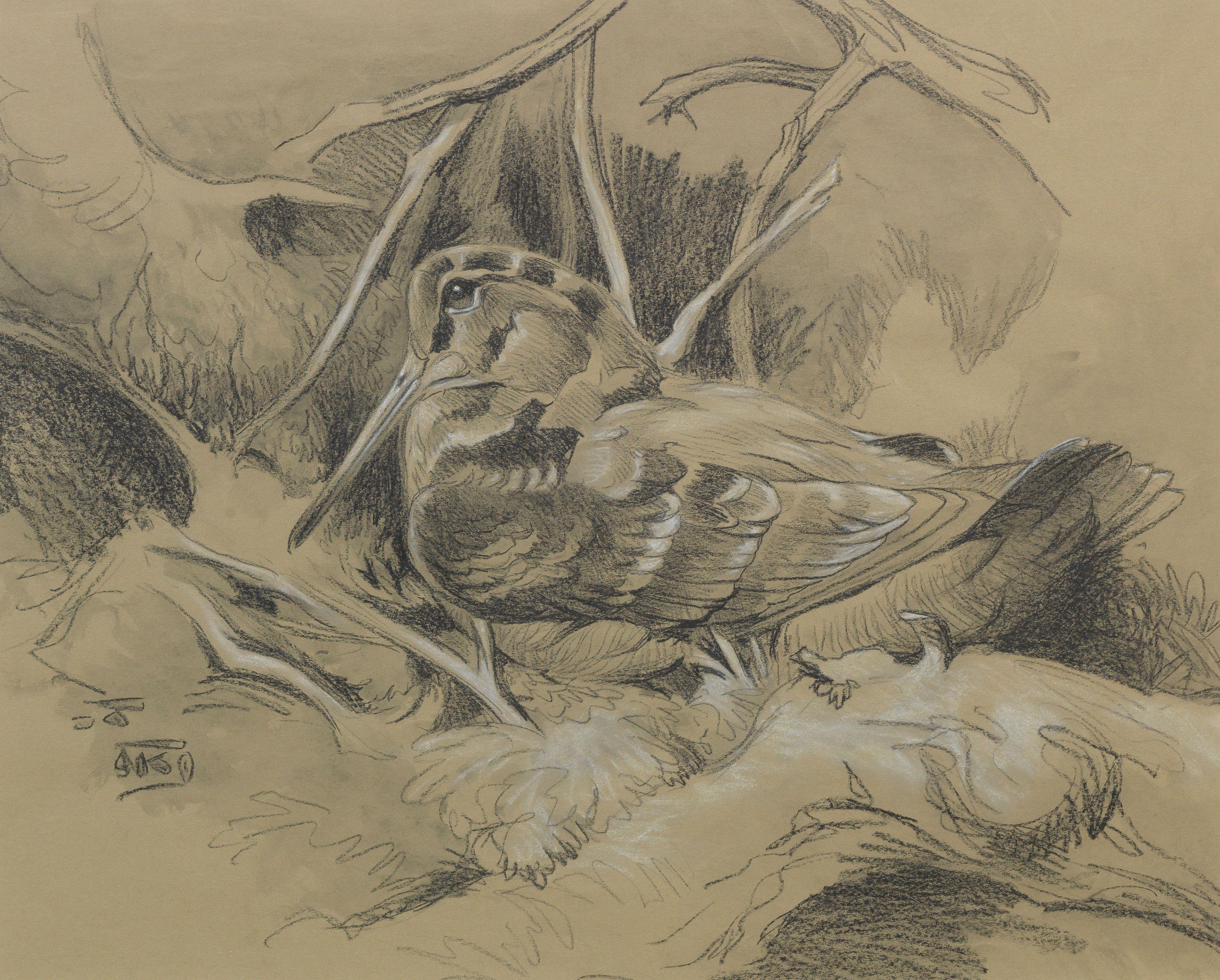 Richard Barret Talbot Kelly - The Woodcock