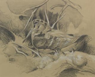 Richard Barret Talbot Kelly - The Woodcock