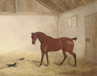Richard Barrett Davis, R.B.A. - A bay hunter in a stable interior with a dog chasing a cat