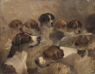 Richard Barrett Davis - Study of a Group of Foxhounds