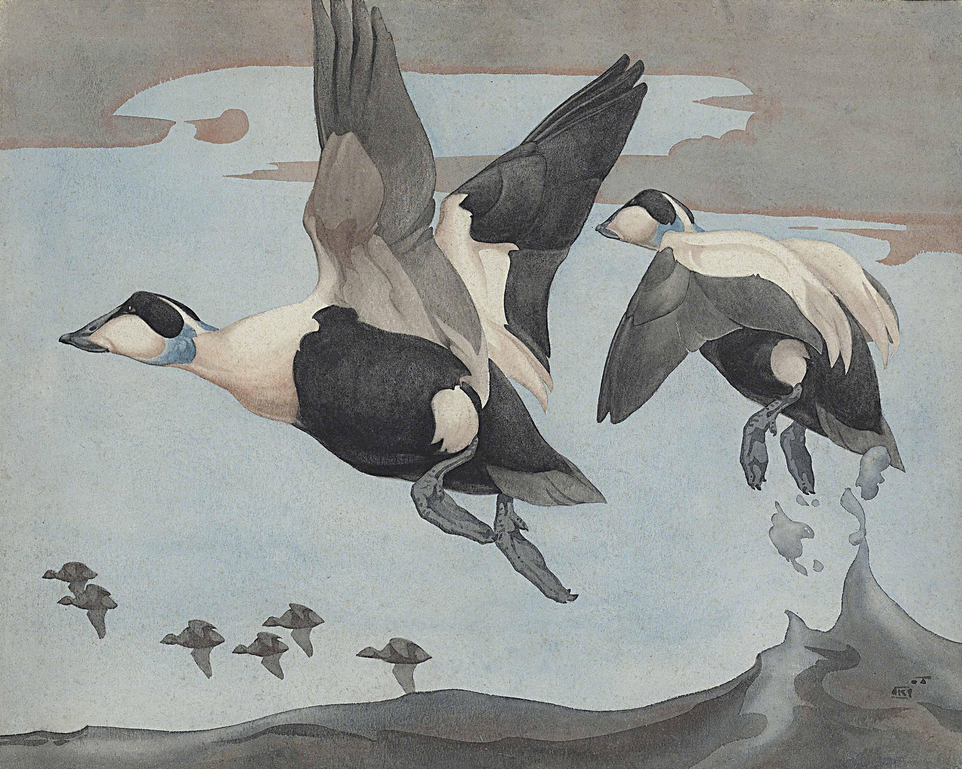 Richard Barrett Talbot Kelly - Eider In Flight