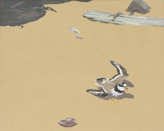 Richard Barrett Talbot Kelly - Study of a ringed plover on the sand