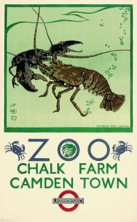 Richard Barrett Talbot Kelly - Zoo, Common & Spiny Lobster
